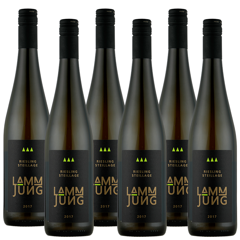 Weingut Lamm-Jung Riesling STEILLAGE Rheingau