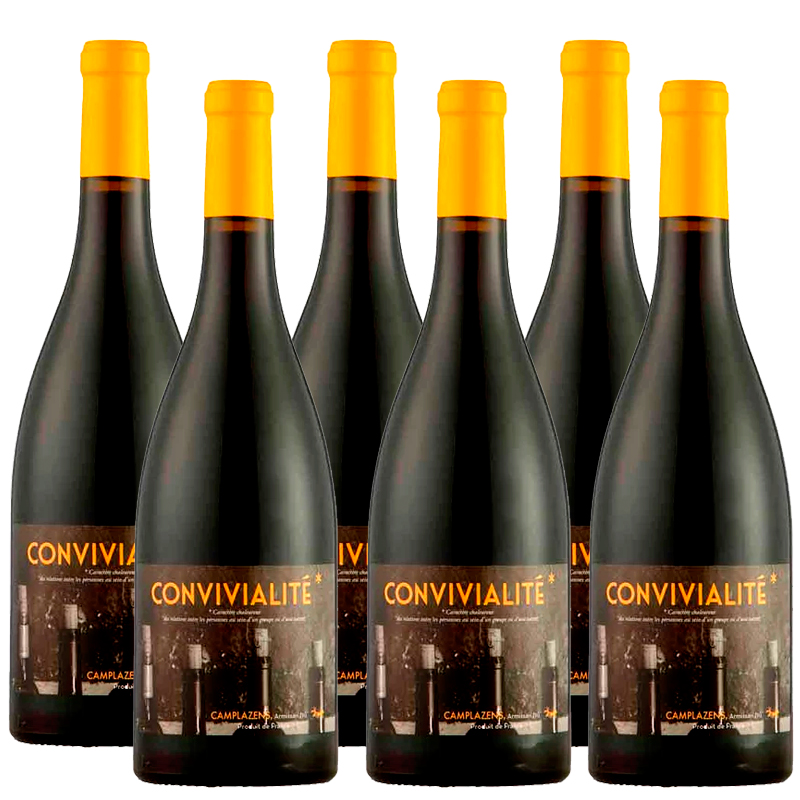 Chateau Camplazens Convivialite