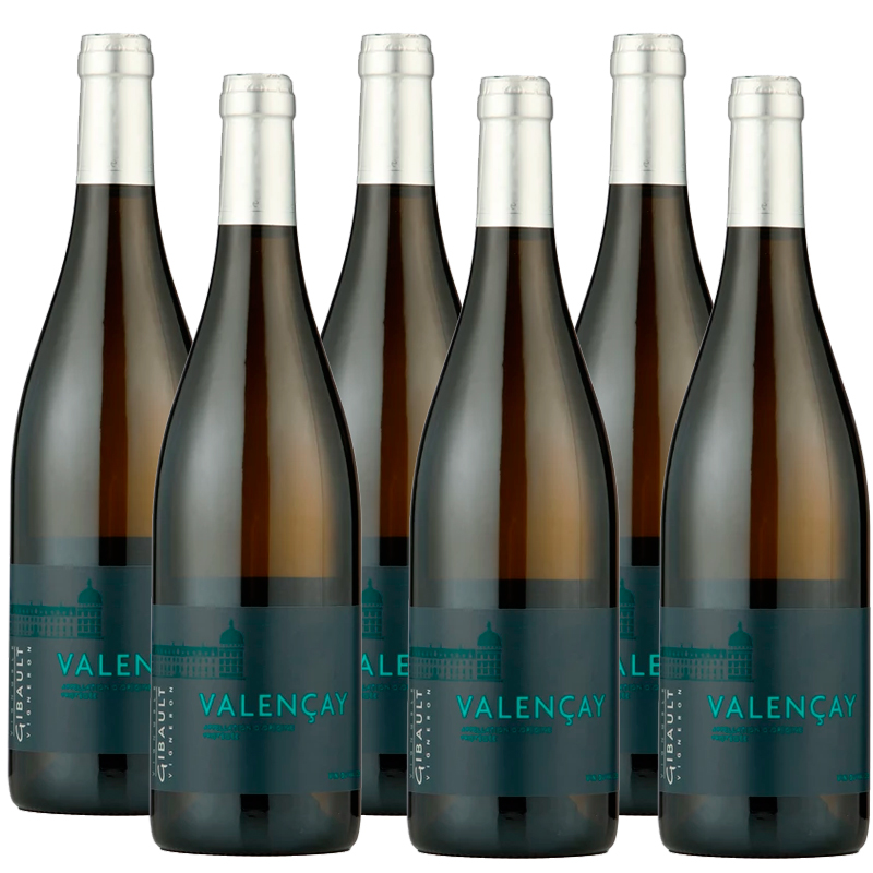 Vignoble Gibault Valencay Loire