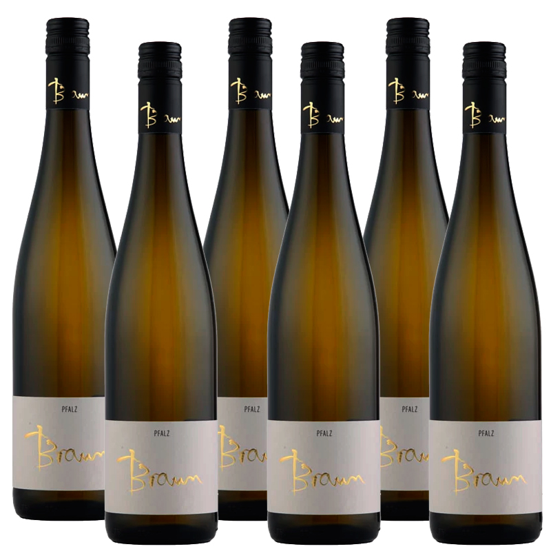 Braun Alltag Riesling Trocken B