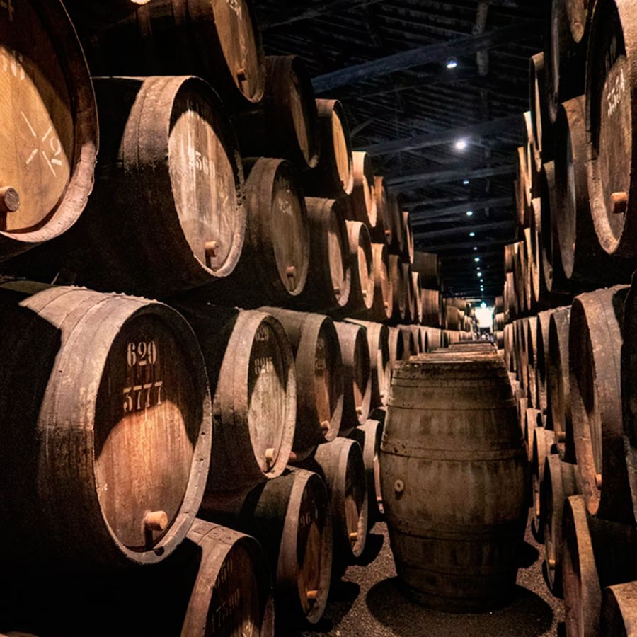 Winemakers Dinner Quinta do Javali 5/11